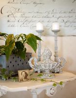 Plante d'intérieur, photo et ornamets sur table
