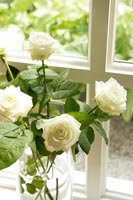 Vase de roses blanches